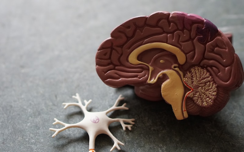 Headaches, Migraines, and Your Neck: How Cervicogenic Treatment Stops Them at the Source